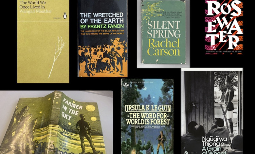 Gathering Storm was developed by David Blandy as a UK associate at the Delfina Foundation for The Politics of Food residency programme, with the partnership of Gaia Art Foundation. 