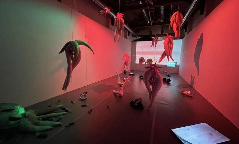 Sara Bonaventura - Elisa Muliere_ICONOPLAST_CAOS Museum - Terni_2022